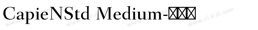 CapieNStd Medium字体转换 CapieNStd Medium字体转换